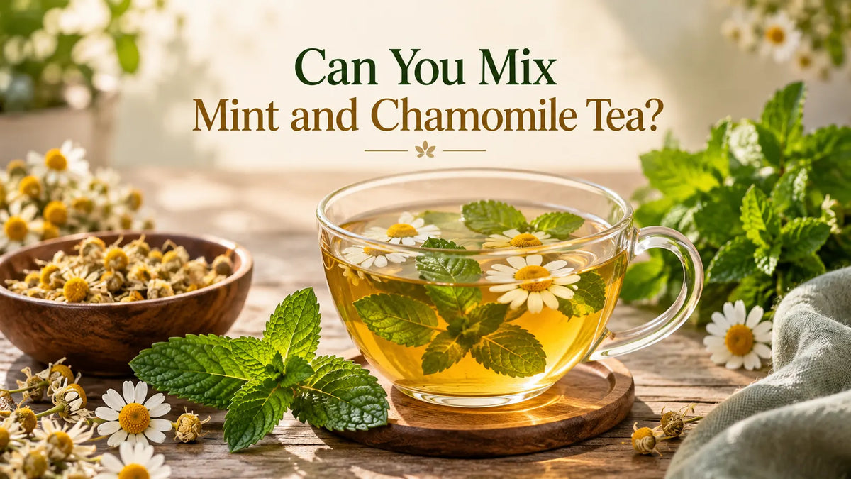 Can You Mix Mint and Chamomile Tea? Benefits, Taste, and How to Brew It