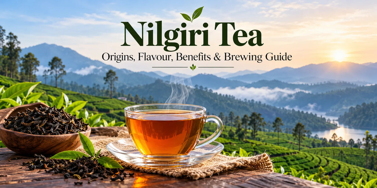 What Is Nilgiri Tea? Taste, Benefits & Why It Stands Out