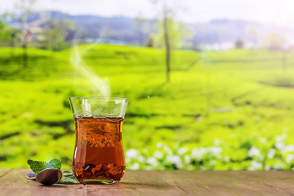 What Is Nilgiri Tea? Taste, Benefits & Why It Stands Out